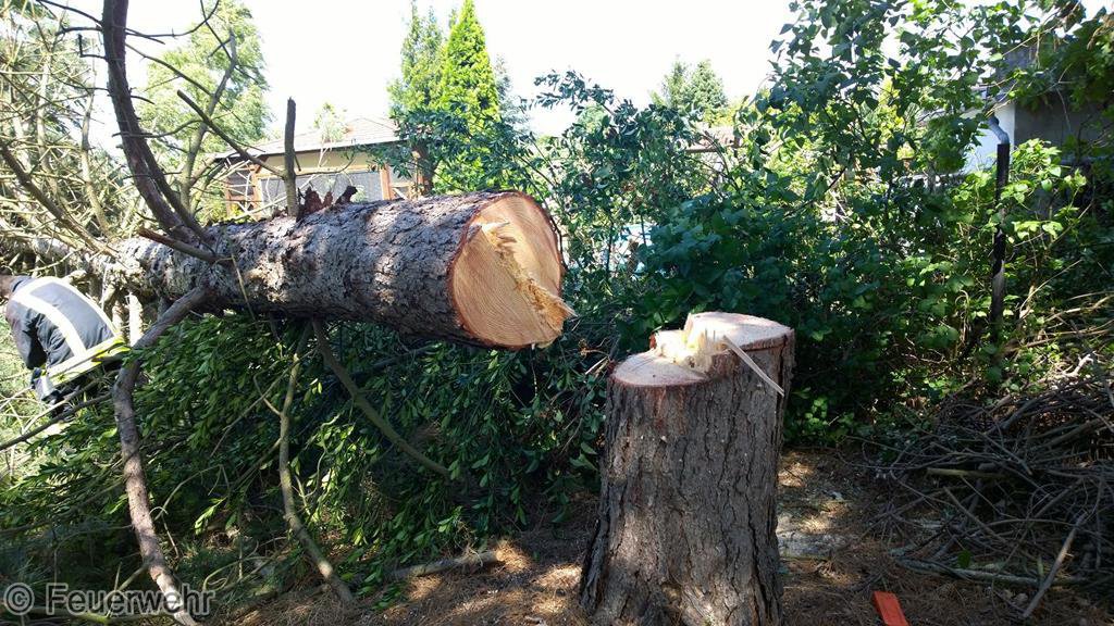 Sturmschaden Sturmschaden
